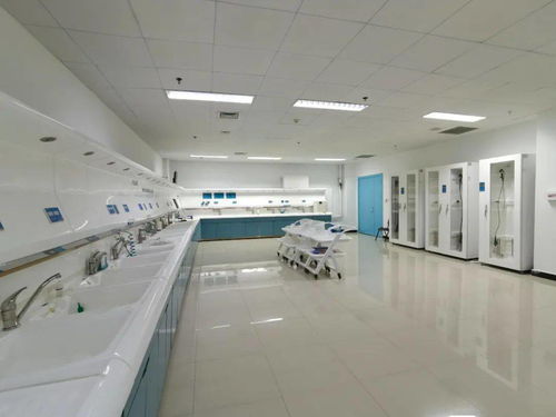 技術、服務、設備與環境 構建完善的綜合技術服務生態